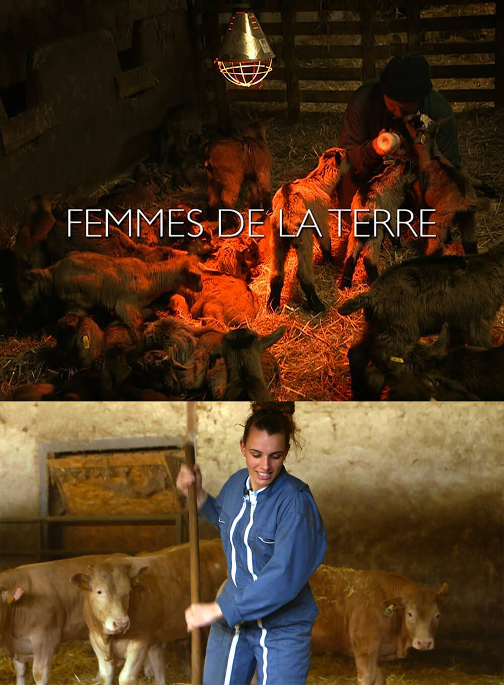 femmes-de-la-terre