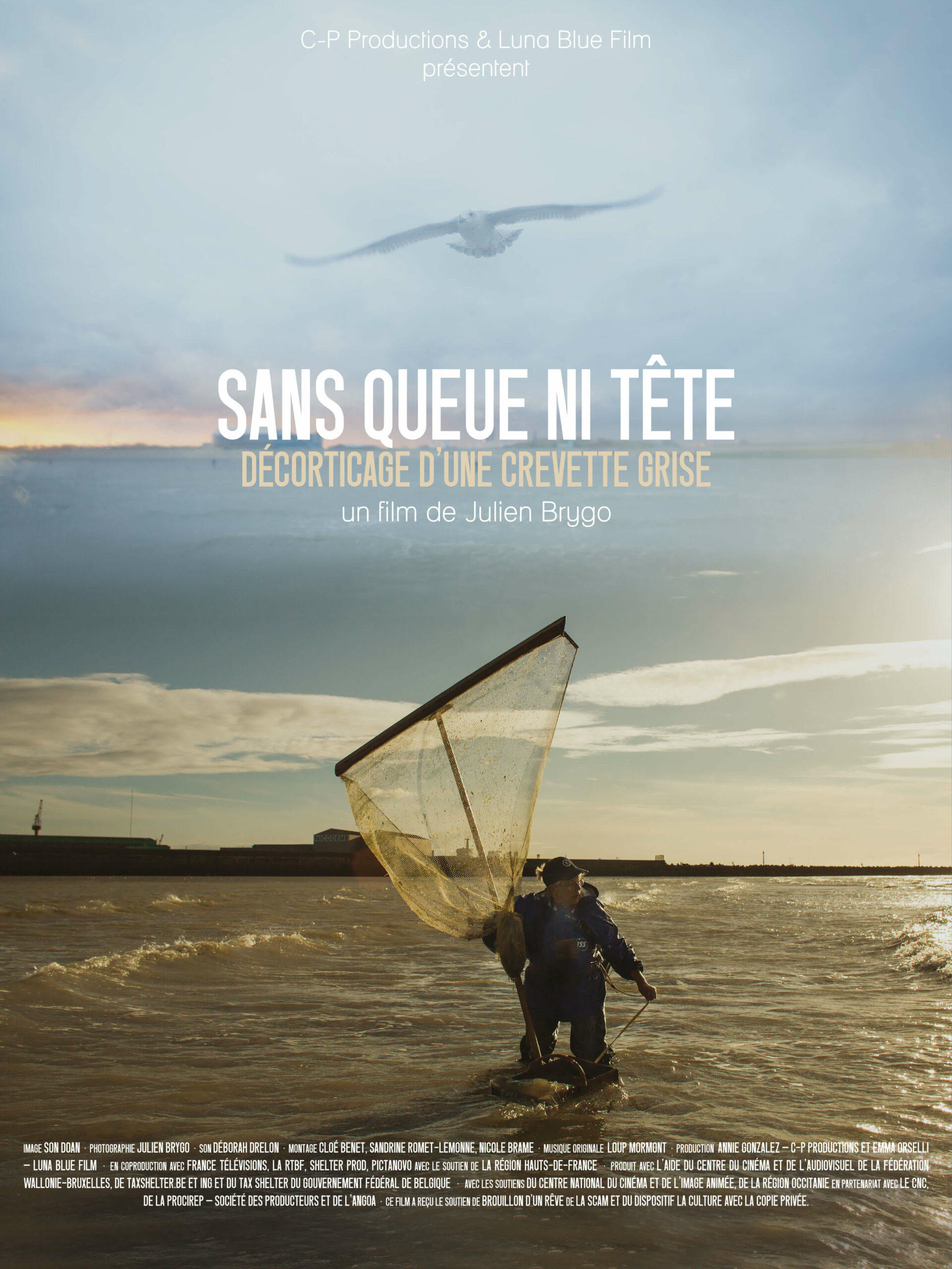 Affiche Sans queue