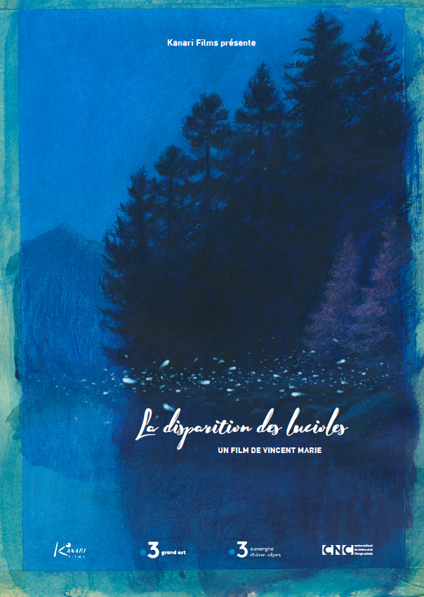 lucioles affiche