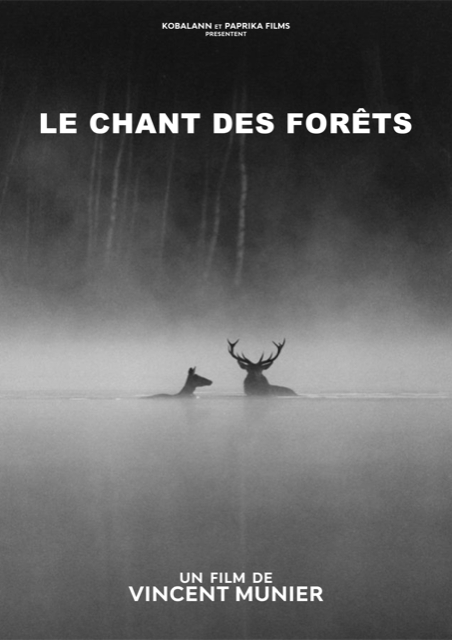 Affiche Le chant des forêts